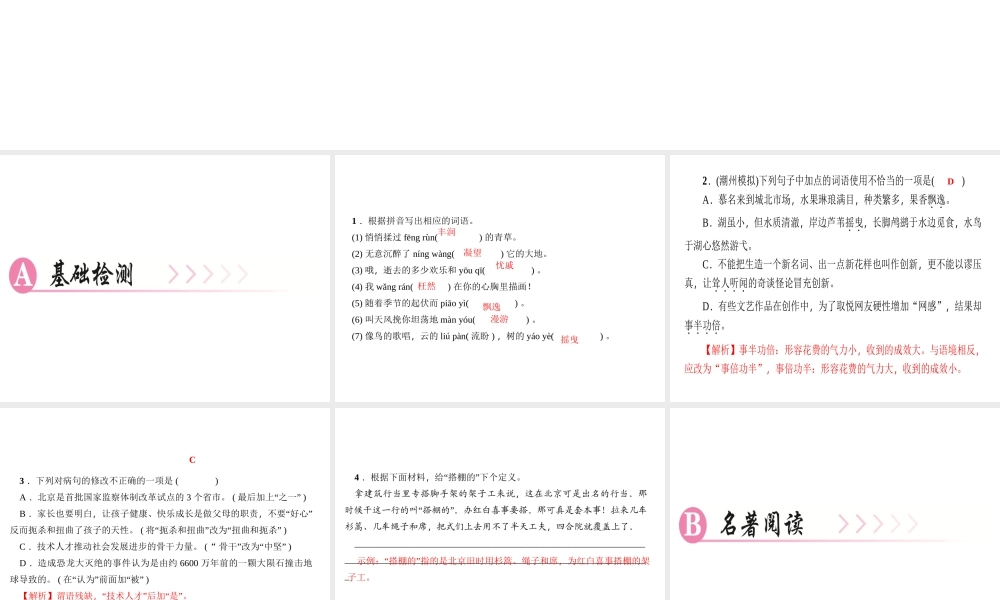 （广东专版）秋九年级语文上册 第二单元 5 我看习题课件 新人教版-新人教版初中九年级上册语文课件