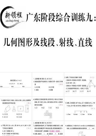 （广东专用）秋七年级数学上册 广东阶段综合训练九 几何图形及线段、射线、直线习题讲评课件 （新版）新人教版-（新版）新人教版初中七年级上册数学课件