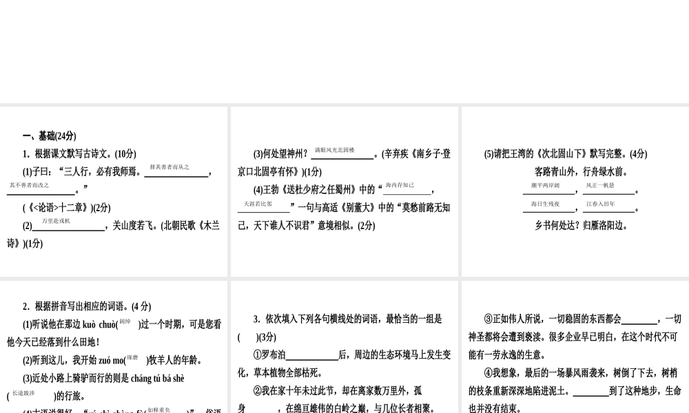 （广东专用）中考语文高分突破 满分特训11课件-人教版初中九年级全册语文课件