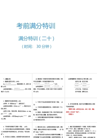 （广东专用）中考语文高分突破 满分特训20课件-人教版初中九年级全册语文课件