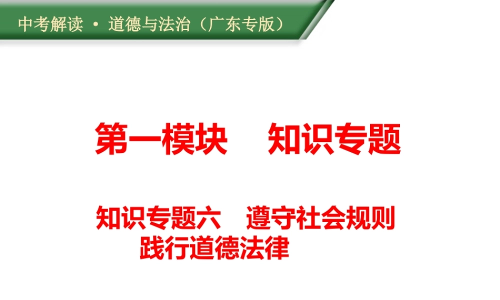 （广东专版）中考道德与法治解读总复习 知识专题六 遵守社会规则 践行道德法律课件-人教版初中九年级全册政治课件