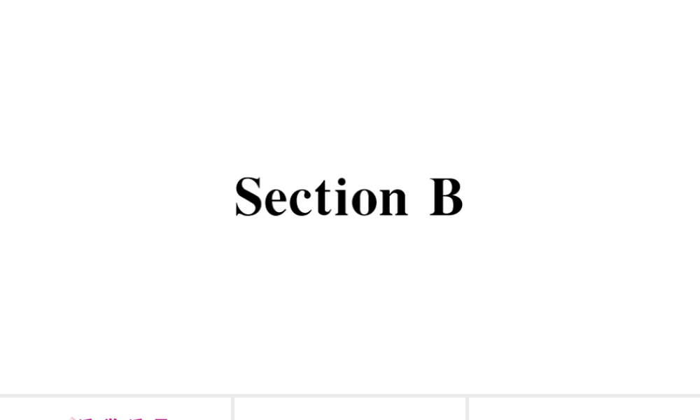 （广东专版）秋七年级英语下册 Unit 9 What does he look like第三课时习题课件（新版）人教新目标版-（新版）人教新目标版初中七年级下册英语课件