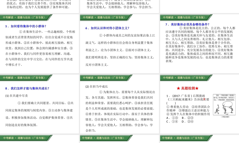 （广东专版）中考道德与法治解读总复习 知识专题四 关爱集体 学法守法课件-人教版初中九年级全册政治课件