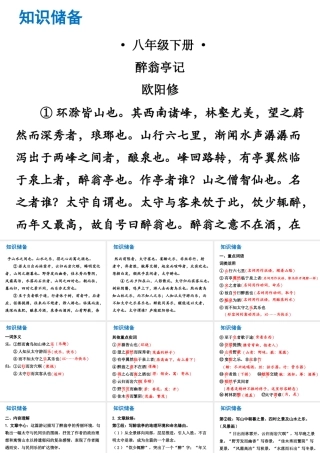 （广东专版）中考语文总复习 中考解读 阅读理解 第一章 文言文阅读 第一节 课内文言文阅读 八下 醉翁亭记课件-人教版初中九年级全册语文课件