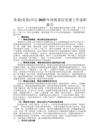 党委(党组)书记2025年度抓基层党建工作述职报告