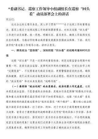 党委副书记、巡察工作领导小组副组长在巡察“回头看”动员部署会上的讲话
