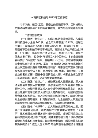 XX高新区科技局2025年工作总结