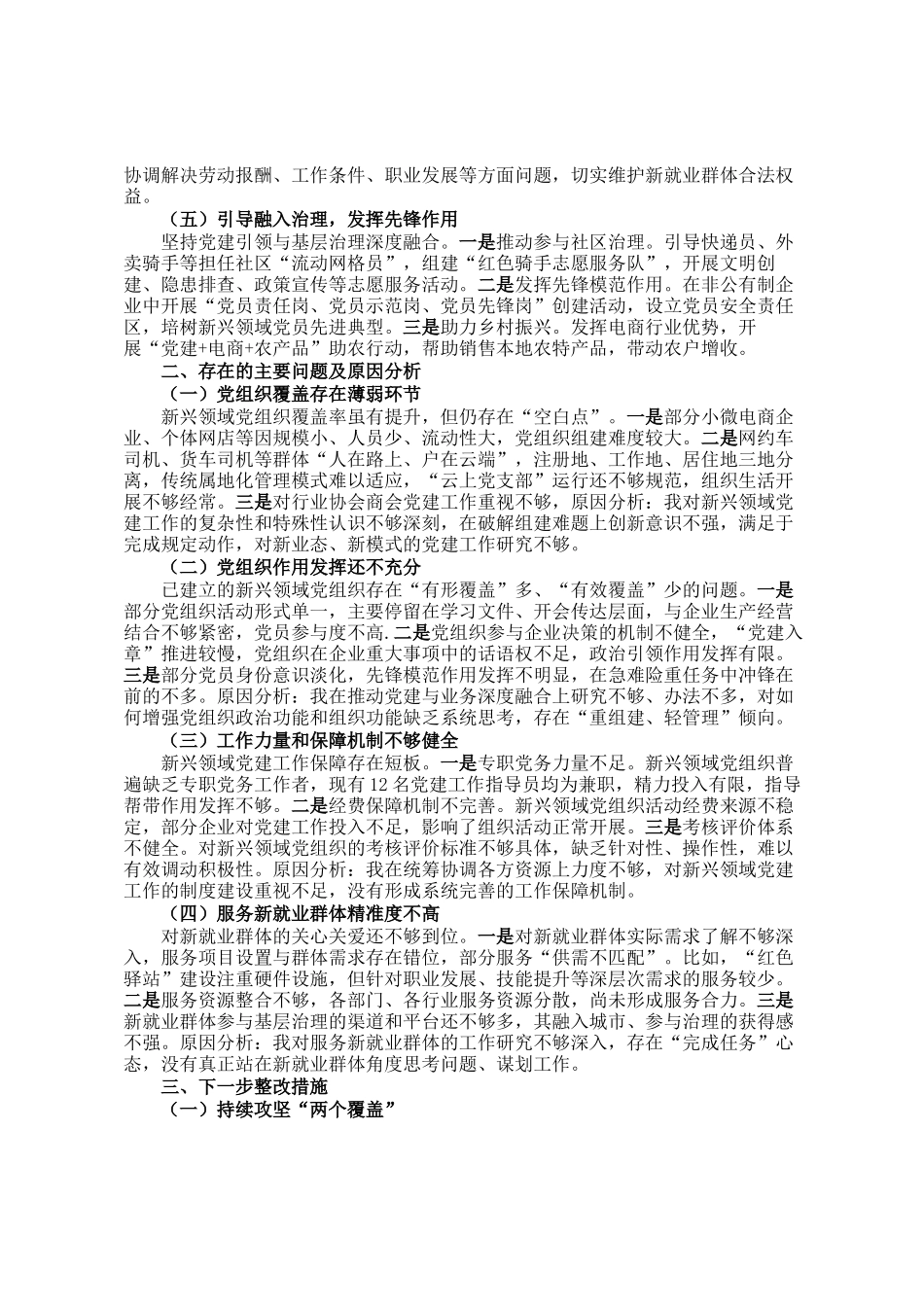 党委书记2025年抓新兴领域党建工作述职报告_第2页