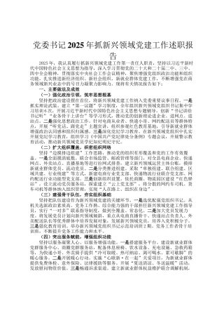 党委书记2025年抓新兴领域党建工作述职报告