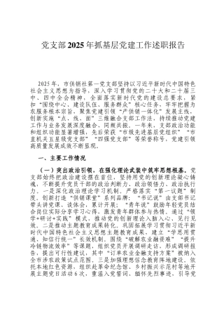 党支部2025年抓基层党建工作述职报告