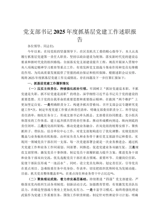 党支部书记2025年度抓基层党建工作述职报告