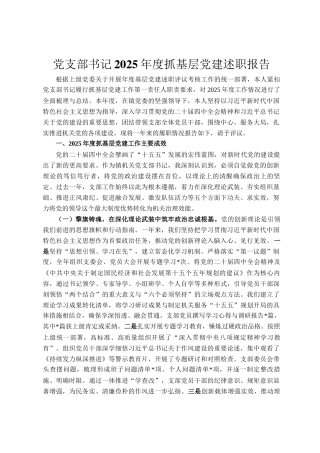 党支部书记2025年度抓基层党建述职报告