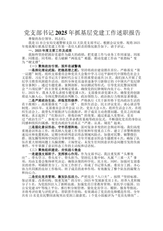 党支部书记2025年抓基层党建工作述职报告