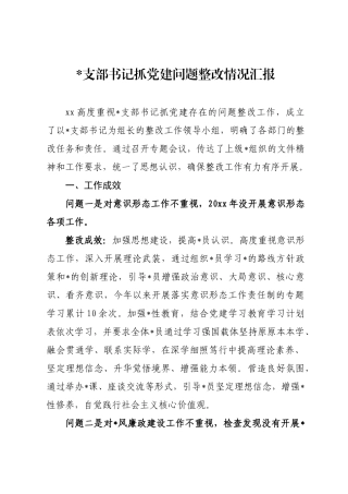 党支部书记抓党建问题整改情况汇报