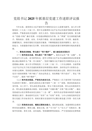 党组书记2025年抓基层党建工作述职评议报告