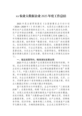 XX农业大数据企业2025年度工作总结