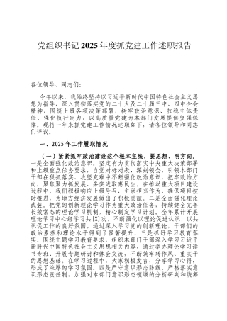 党组织书记2025年度抓党建工作述职报告