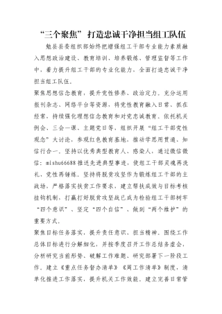 “三个聚焦” 打造忠诚干净担当组工队伍【更多材料关注抖音：资深秘书】