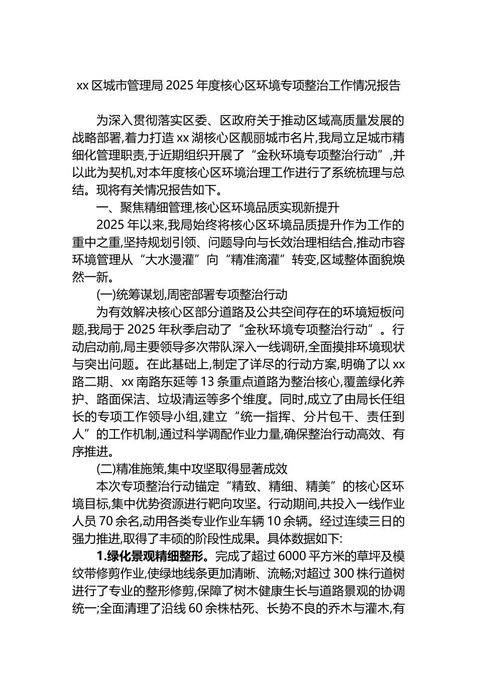 XX区城市管理局2025年度核心区环境专项整治工作情况报告_第1页