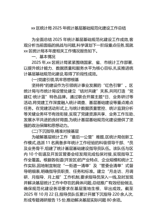 XX区统计局2025年统计基层基础规范化建设工作总结