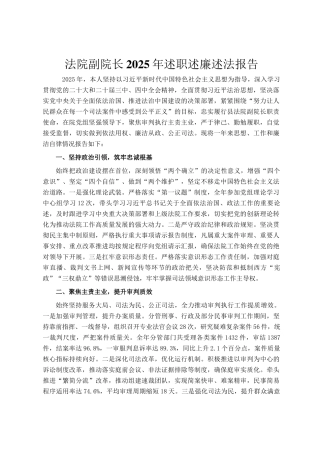 法院副院长2025年述职述廉述法报告