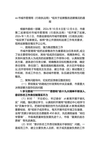 XX市城市管理局（行政执法局）党组关于巡察整改进展情况的通报