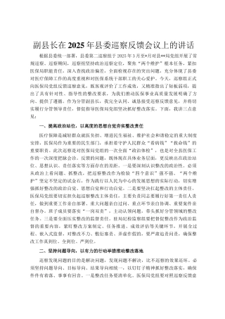 副县长在2025年县委巡察反馈会议上的讲话