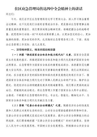 在区应急管理局传达四中全会精神上的讲话