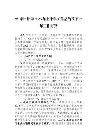 XX市审计局2025年上半年工作总结及下半年工作打算