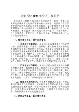 公安系统2025年个人工作总结