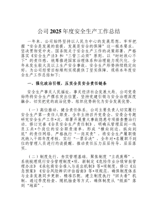 公司2025年度安全生产工作总结