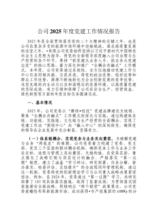 公司2025年度党建工作情况报告