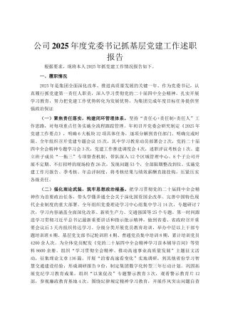 公司2025年度党委书记抓基层党建工作述职报告