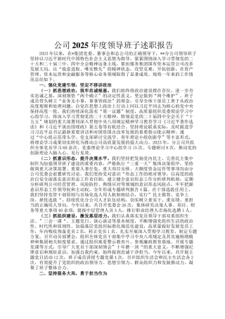 公司2025年度领导班子述职报告