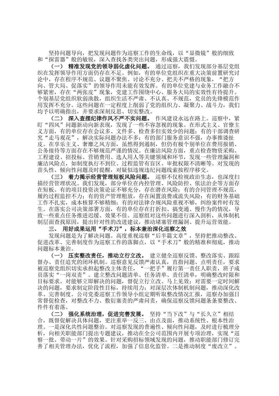 公司2025年度巡察工作情况总结_第2页