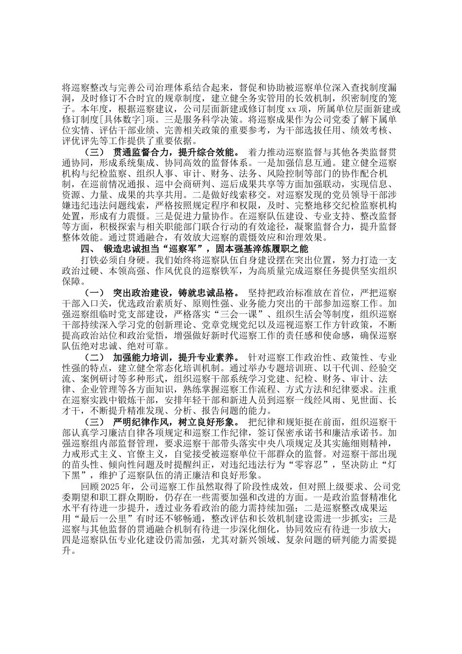 公司2025年度巡察工作情况总结_第3页