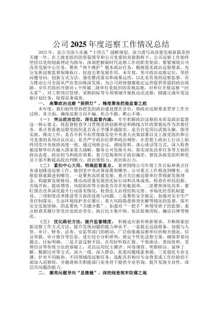 公司2025年度巡察工作情况总结