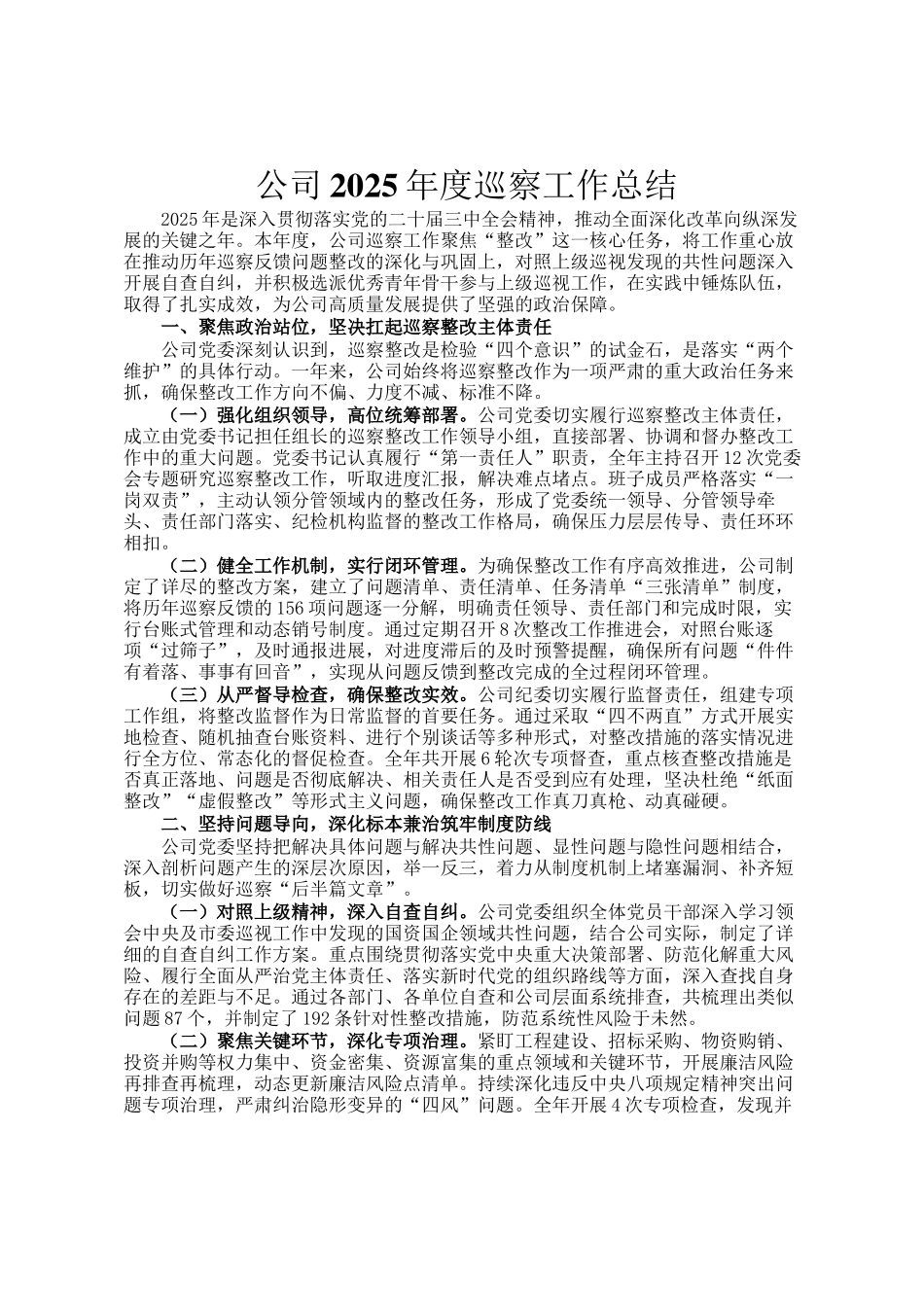 公司2025年度巡察工作总结_第1页