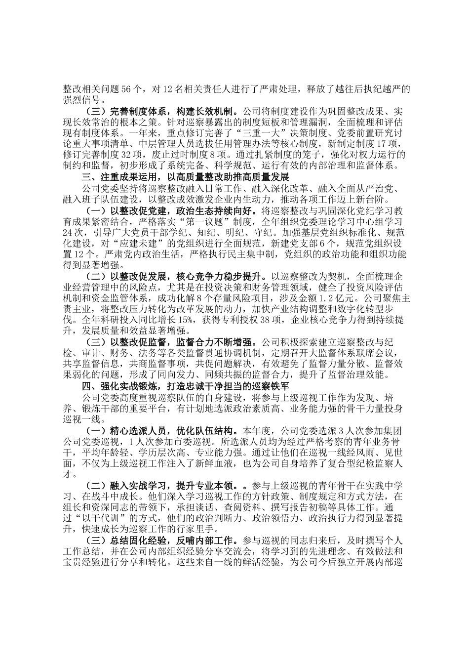 公司2025年度巡察工作总结_第2页