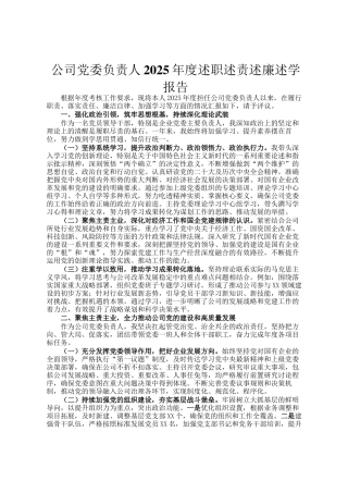 公司党委负责人2025年度述职述责述廉述学报告