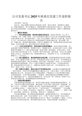 公司党委书记2025年抓基层党建工作述职报告