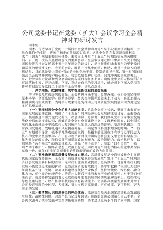 公司党委书记在党委（扩大）会议学习全会精神时的研讨发言