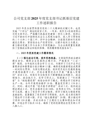公司党支部2025年度党支部书记抓基层党建工作述职报告