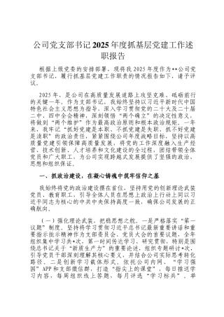 公司党支部书记2025年度抓基层党建工作述职报告