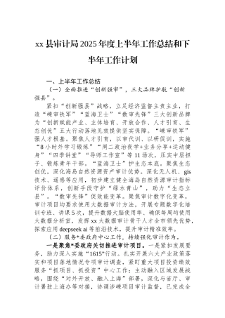 XX县审计局2025年度上半年工作总结和下半年工作计划