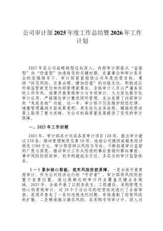 公司审计部2025年度工作总结暨2026年工作计划