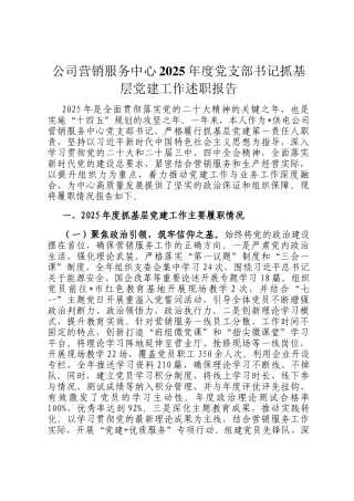 公司营销服务中心2025年度党支部书记抓基层党建工作述职报告
