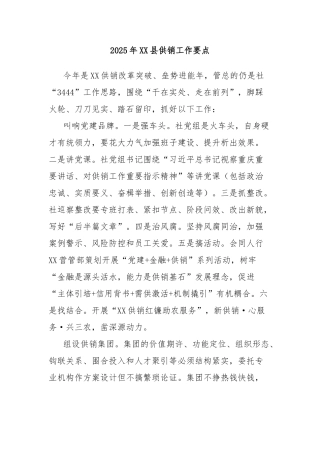 2025年县供销工作要点【更多材料关注抖音：资深秘书】