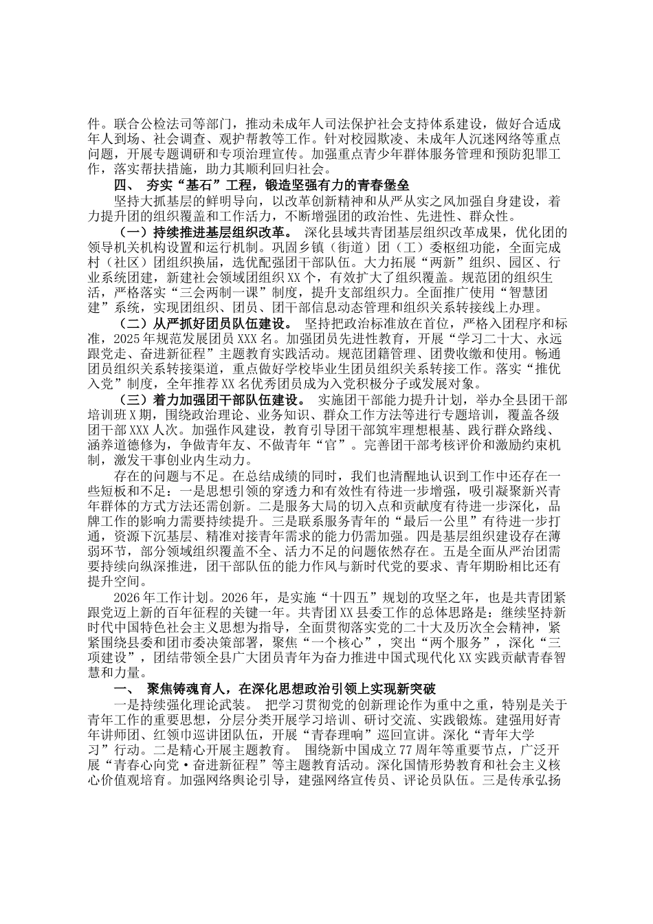 共青团县委2025年工作总结及2026年工作计划_第3页