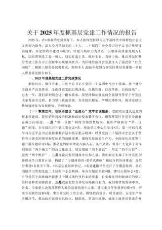 关于2025年度抓基层党建工作情况的报告